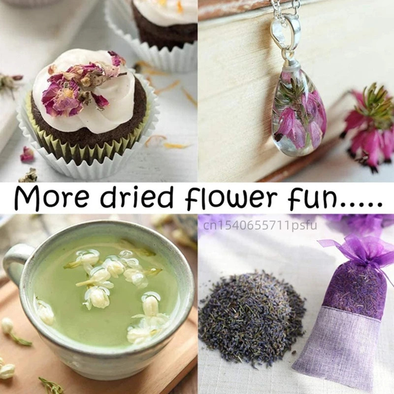 High Quality Natural Dried Flo - đánh giá và giá Candle Making Bath